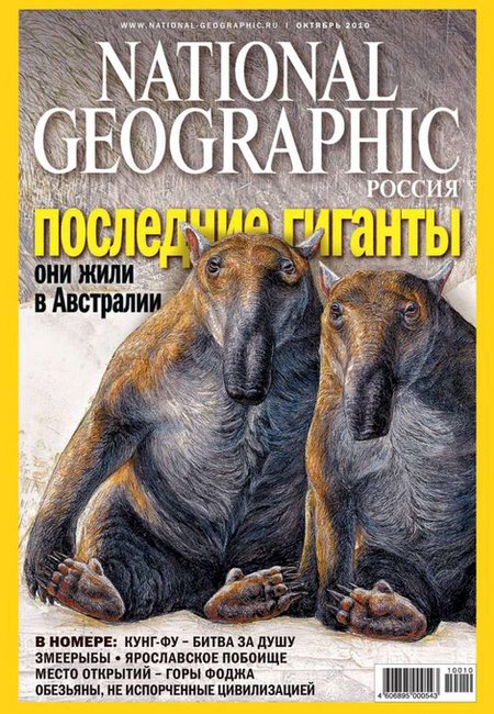 журнал
