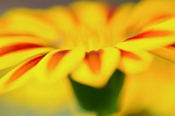 Best Mixed Wallpapers Pack #435-436