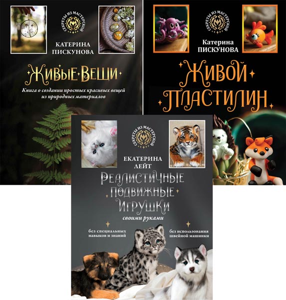 Секреты из мастерской. Сборник книг